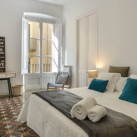 Apg Carrer Nou 10 Apartmán *